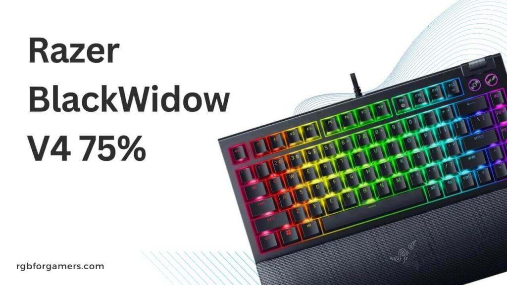 Razer BlackWidow V4 75% Review